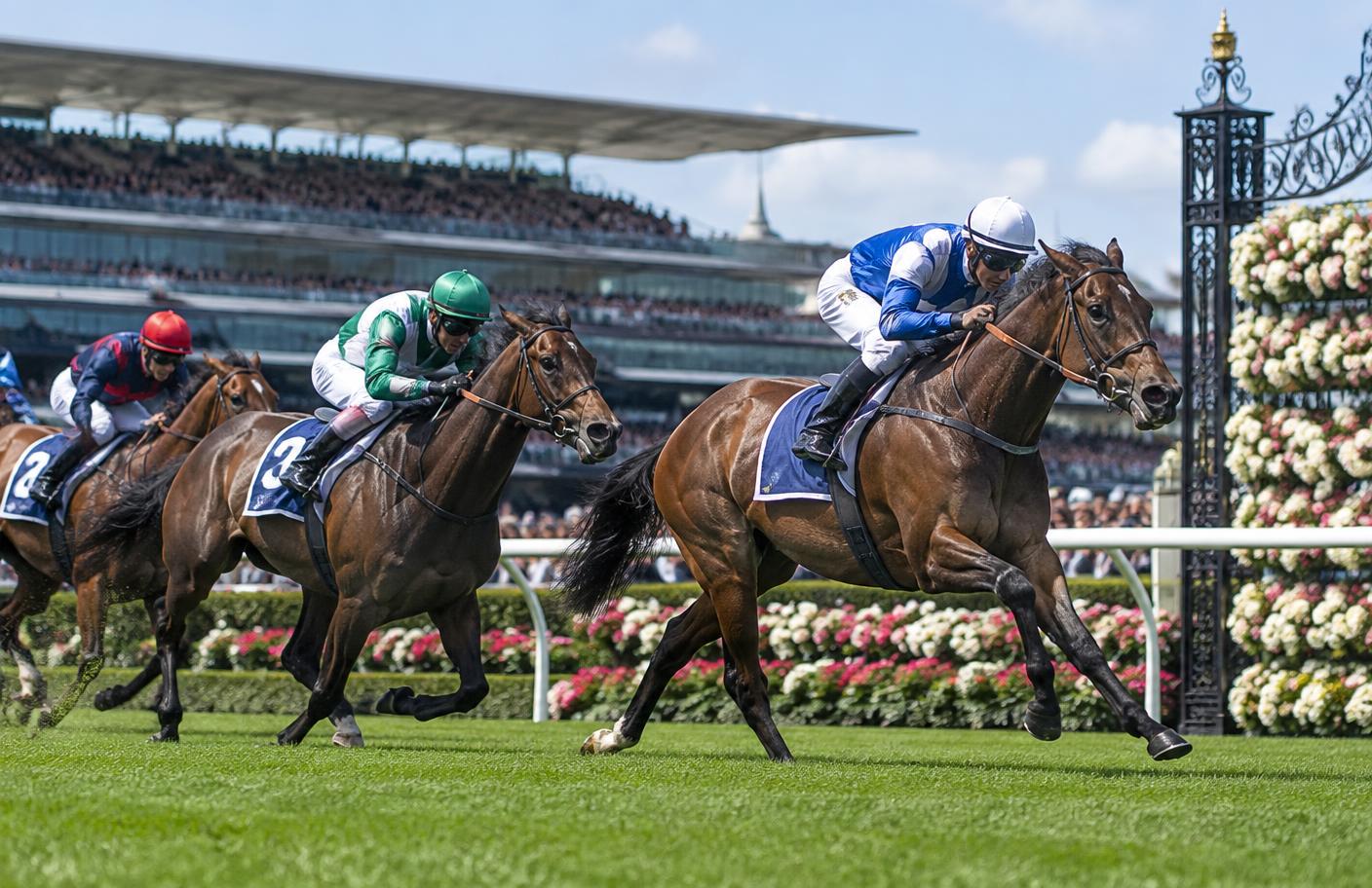 The Cup Picture Tightens as Maher's Stayers Climb the Order